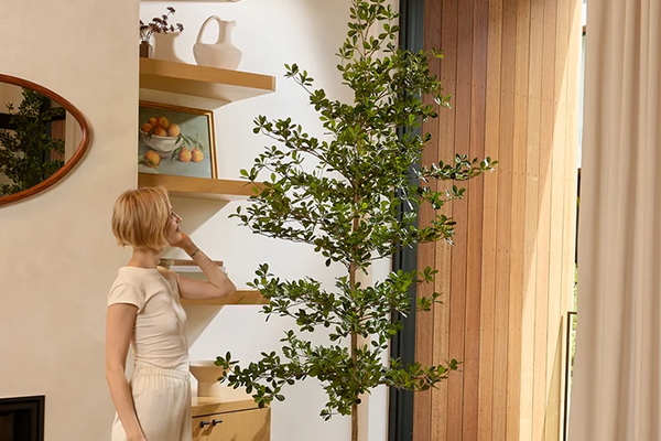Vert House