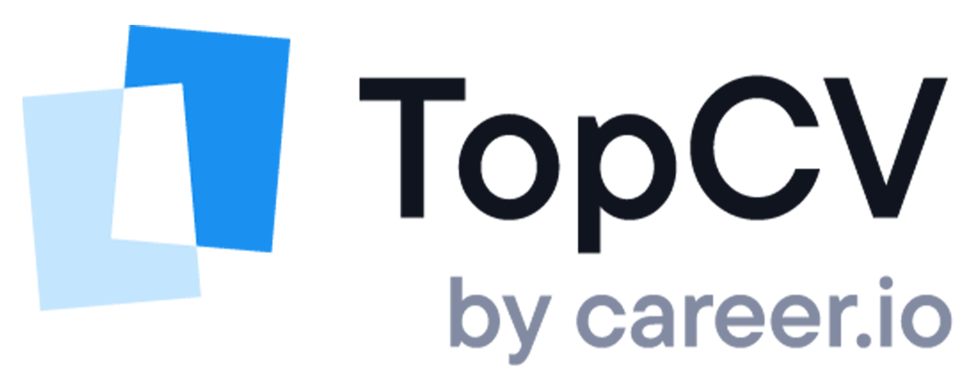 Top CV